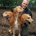 funny dog 5