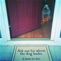 funny dog 4