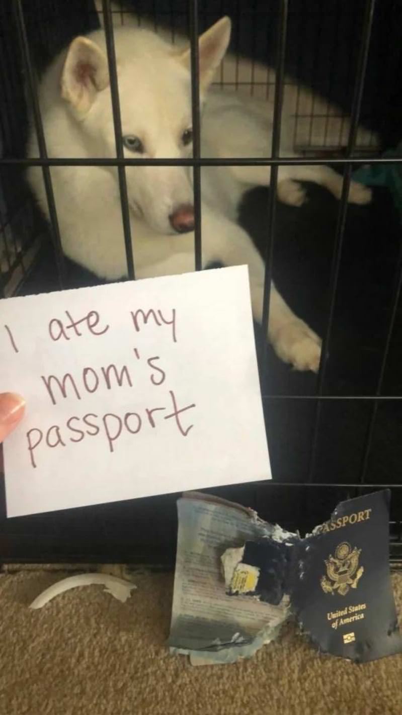 Ate Her Passport