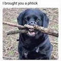 Brought You A Stick