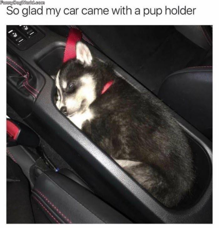 Came With A Pup Holder