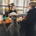 funny dog 4