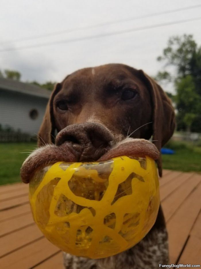 Can You Throw This