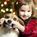 funny dog 3
