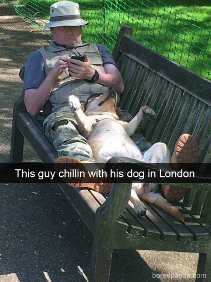 Chillin With His Dog