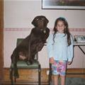 funny dog 4