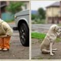 funny dog 5