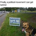 funny dog 4