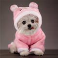 funny dog 1