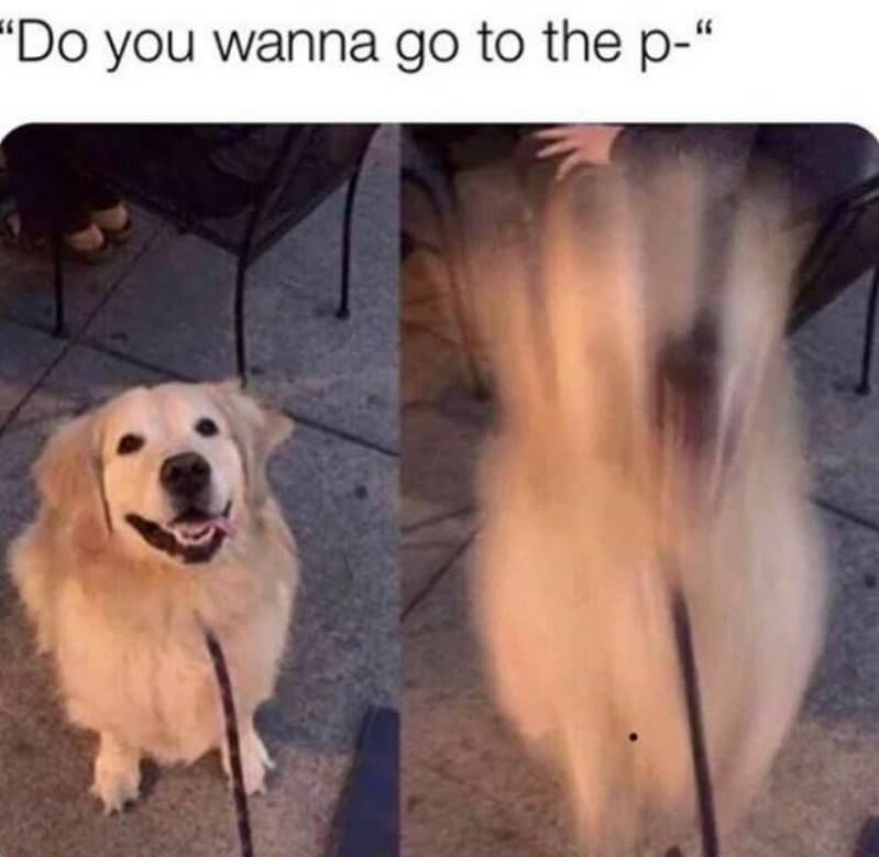 Do You Want To Go To The Park