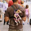 funny dog 5