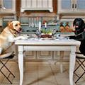 funny dog 2