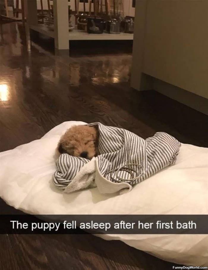 Fell Asleep After My Bath