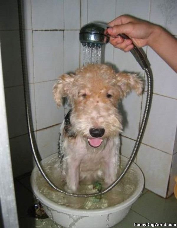 Getting My Bath