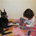 funny dog 3