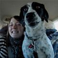 funny dog 2