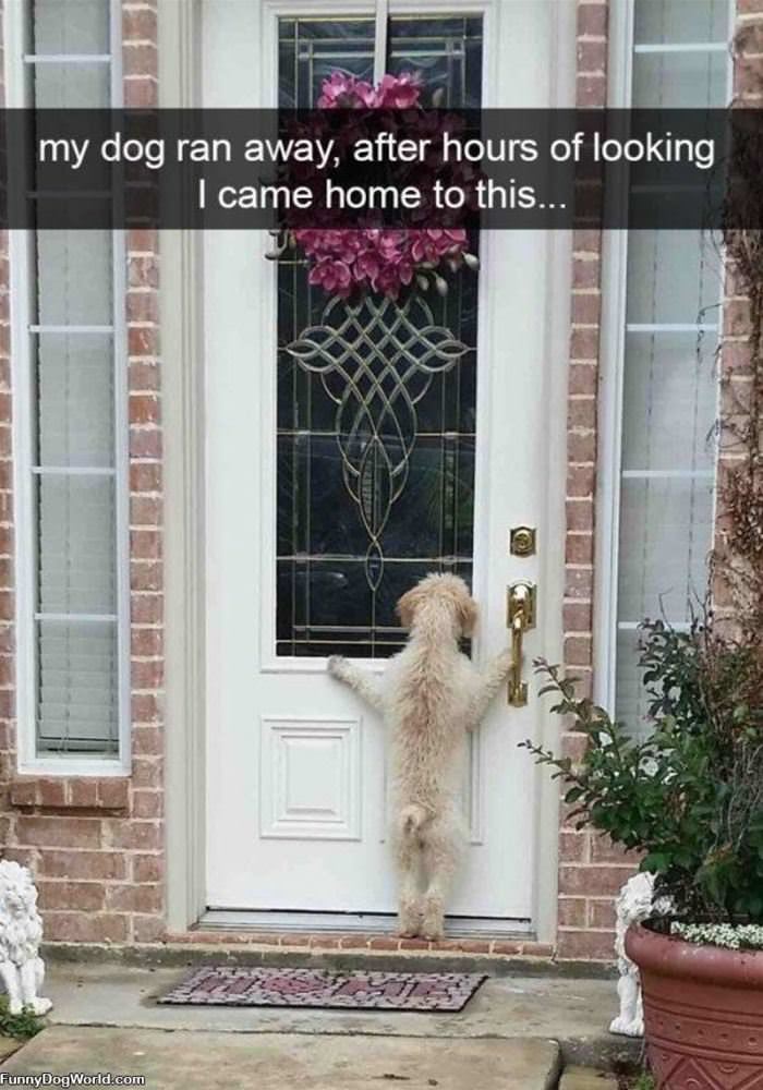 Hey Let Me In