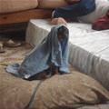 funny dog 2