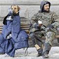 funny dog 1