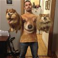 funny dog 1