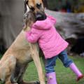 funny dog 5