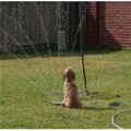 funny dog 5