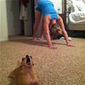 funny dog 3