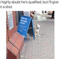 funny dog 5