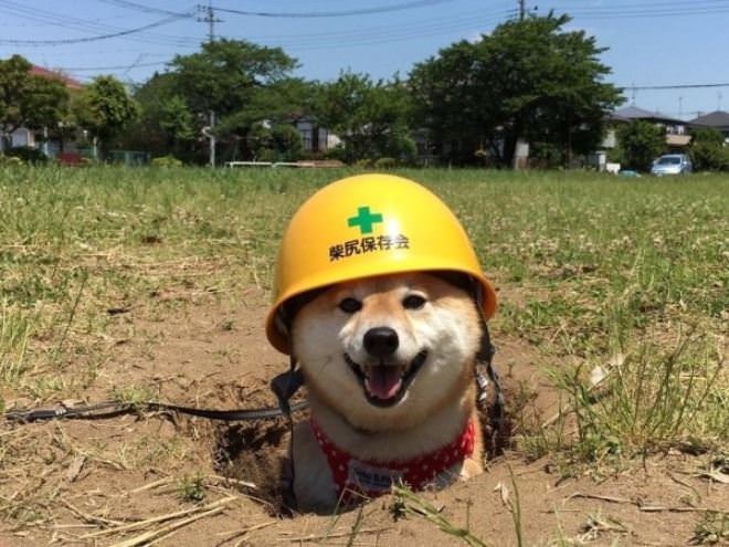 In Charge Of Hole Diggin
