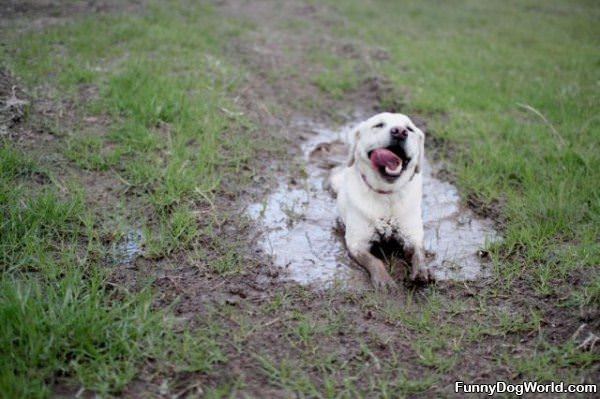 Just Enjoying The Mud