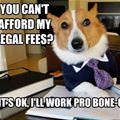 funny dog 4