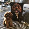 funny dog 5