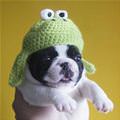 funny dog 3