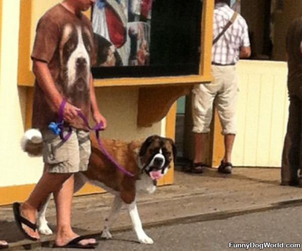Nice Dog Shirt