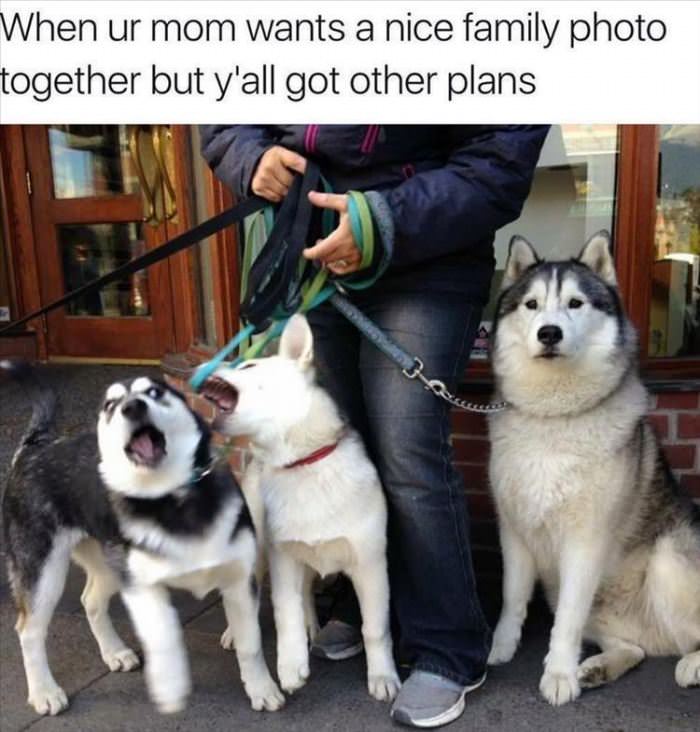 Nice Family Photo