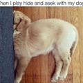 funny dog 4