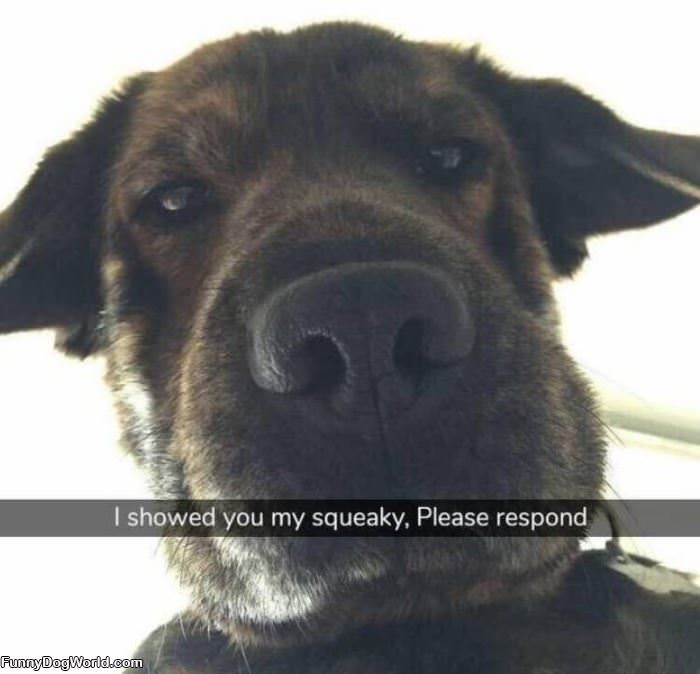 Please Respond