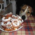 funny dog 2