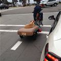 funny dog 5