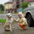 funny dog 3