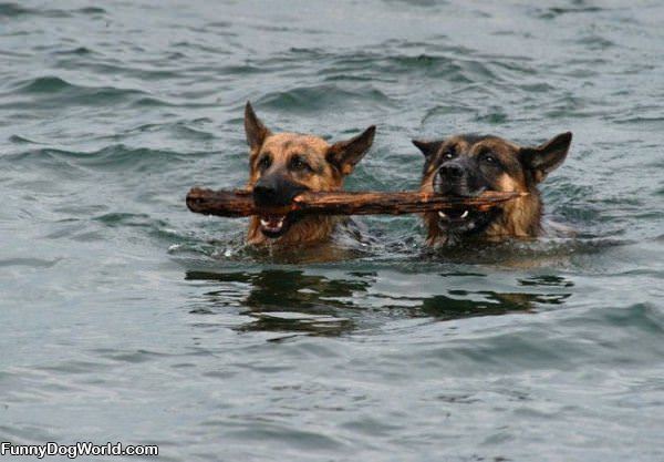 Sharing The Stick