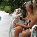 funny dog 2