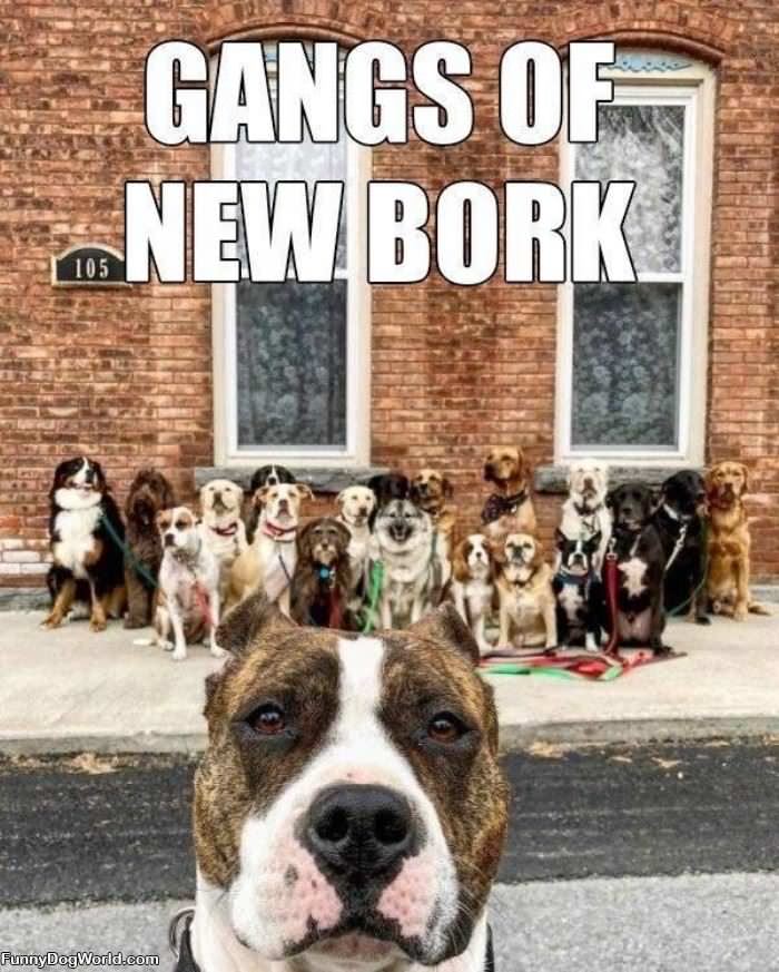 The Gangs Of New Bork