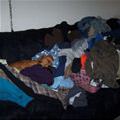 funny dog 4