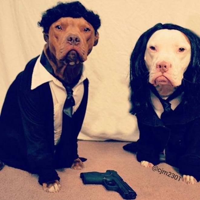 The Pulp Fiction Dogs