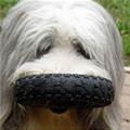 funny dog 1