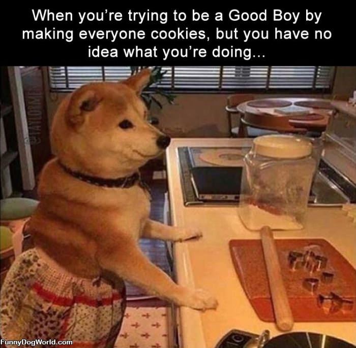 Trying To Be A Good Boy