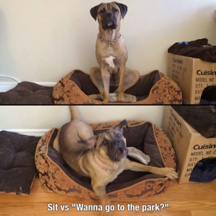 Wanna Go To The Park