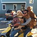 funny dog 4