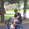 funny dog 2